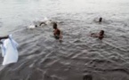 Koalack: deux (2) enfants de 8 ans meurent noyés