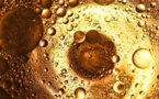 Au Maroc, des huiles alimentaires collectées pour les recycler en biocarburant