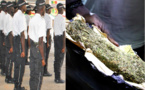 Touba: un Asp tombe avec 250 g et 5 cornets de chanvre indien