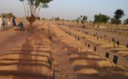 Touba: une centaine de tombes profanées... dont celle de la mère de Serigne Abdou Karim Mbacké 
