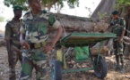 Trafic illégal: 12 charrettes et 20 troncs de bois de veine saisis à Kolda
