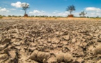 Afrique australe: 45 millions de personnes menacées par la famine