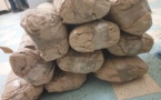 ​Lutte contre le trafic de drogue : 1 kg de cocaïne saisi à Ziguinchor