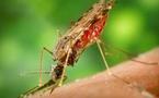 Les cas de paludisme en hausse à Madagascar