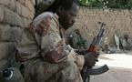 République centrafricaine : après la dissolution de l'UFDR, les autres forces rebelles attendent leur tour