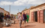 Mali: sept morts de la fièvre hémorragique «Crimée-Congo» dans le centre