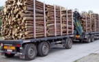 Trafic illicite de bois: deux camions gambiens interceptés à Sindian