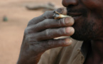 Afrique: le marché de la drogue explose, état des lieux