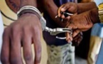 Affaire de faux billets : le co-prévenu de Thione Seck, Alaye Djitteye, arrêté au Mali