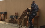 Au Bénin, la brigade canine se renforce et se modernise