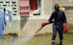 ​ Mbao : les services d’hygiène ont entamé une opération de prospection