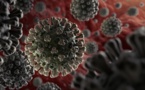 Coronavirus : 5 565 cas en réanimation, 3 523 morts en France