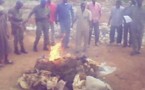 Lutte contre les drogues au Sénégal: une importante quantité incinérée aux Mamelles