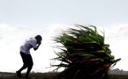 ​Alerte météo : des vents forts vont souffler sur les côtes sénégalaises dès ce mercredi