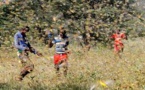 Une invasion hors normes de criquets pèlerins, l’autre menace qui pèse sur l’Afrique
