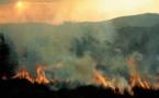 Les feux de brousse, le fléau écologique de Madagascar