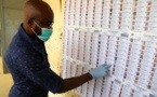 Mali: les enjeux du second tour des élections législatives