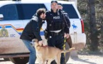 Canada : une fusillade dans l'est du pays fait au moins 16 morts