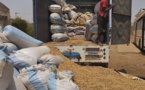 Sécurisation du marché domestique : 2400 cartons de lait, 1800 cartons de bonbons¸7 tonnes de sucres, saisis par la Douane