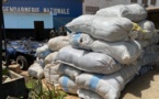 15 tonnes de tabac estimées à 67,5 millions Fcfa saisies par la gendarmerie à Thiaroye