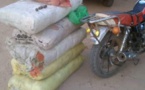 Kolda: la gendarmerie arrête une moto avec 5 boules haschisch dans des sacs de riz 