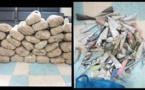 Thiès: la Docrtis saisit 66 kg et 72 cornets de chanvre indien