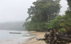 Recrudescence des crimes environnementaux à Madagascar