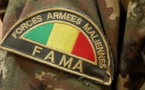 Mali: l’UE réagit aux allégations d'exactions commises par les Fama