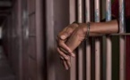 Congo-Brazzaville: l'OCDH proteste contre le maintien en détention de 4 jeunes militants