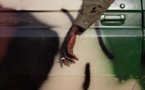 Les enlèvements de préfets se multiplient au Mali