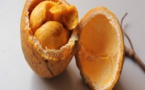 Le Saban, un fruit riche en vitamine c et en vitamine B6