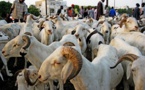Tabaski 2020: le Gouverneur de Dakar définit les points de vente de moutons dans la capitale (Document)