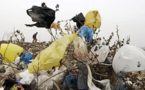 Bientôt des « Eco-boutiques » pour lutter contre l’envahissement des plastiques