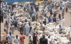 Cherté du mouton à Dahra Djolof à l'approche de la Tabaski: il faut casquer 100 000 frs pour un agneau