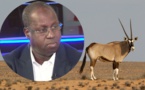 Transfert des 6 Gazelles Oryx : Le Colonel Momar Gueye pour l'ouverture d'une enquête