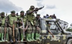 RDC: 23 jeunes soupçonnés d'avoir formé une milice interpellés à Kinshasa