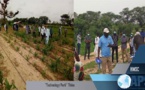 Nouvelles variétés agricoles au Sénégal: un parc d’innovations installé à Thiès