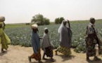 Nigeria: en patrouille avec les Agro Rangers