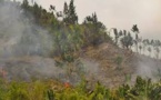 Cultures sur brûlis, feux et charbonnage...: ces fumées qui empoisonnent les Malgaches
