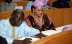 LOI n° 2010-11 du 28 mai 2010 instituant la parité absolue Homme-Femme : Une législation prématurée pour le Sénégal ?