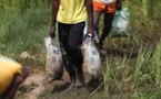 Nigeria: un nouveau centre d'aide alimentaire pillé à Abuja