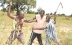 Diourbel:  un berger de 17 ans, lynché par des cultivateurs, lutte contre la mort