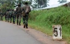 RDC: la mise au point de l'armée