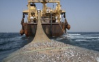 A bord de leurs bateaux, des Chinois pêchent 8 corps aux larges des côtes dakaroises