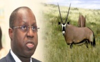 Affaire des Gazelles Oryx: Abdou Karim Sall met fin au débat devant les députés