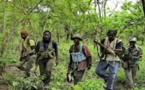 Ziguinchor: trois (3) jeunes enlevés dans la forêt de Bilasse