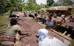 Bras de fer avec les multinationales du chocolat: les inquiétudes des producteurs