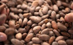 Le Conseil Café Cacao (CCC) de Côte d'Ivoire lève les sanctions contre le groupe chocolatier Hersey