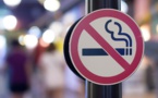 « Le tabagisme tue 8 millions de personnes par an », selon le Directeur de l'OMS