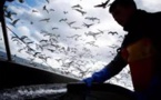 Négociations sur un accord post-Brexit: l’inquiétude des pêcheurs européens